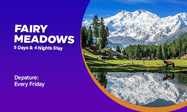 web banner fairymeadows